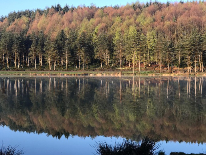 Lake