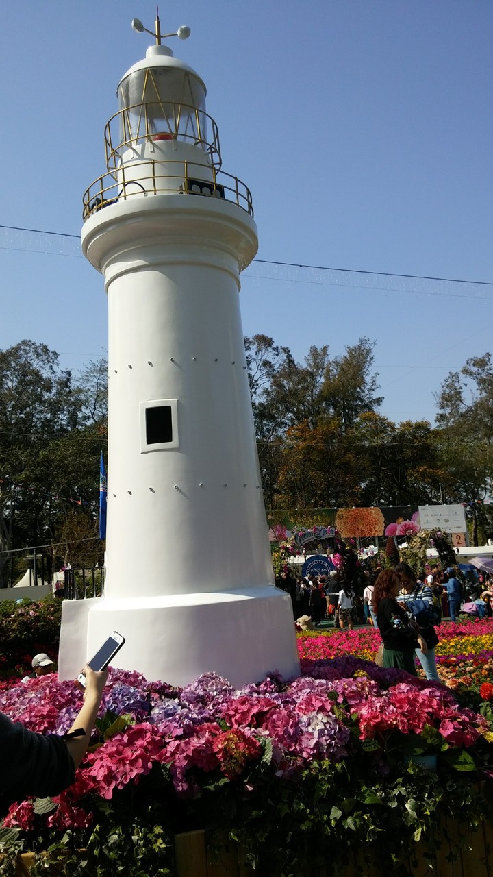 The Hong Kong Flower Show 2018 p4