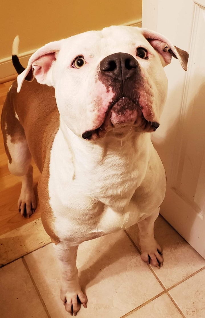 My baby