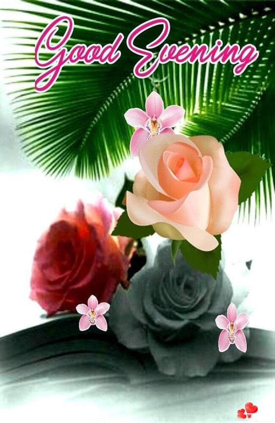 good morning