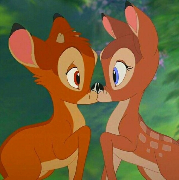 love