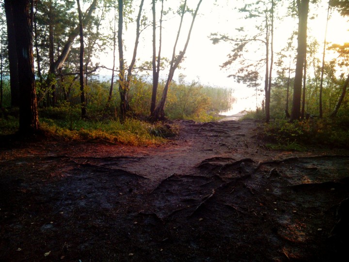 Nature