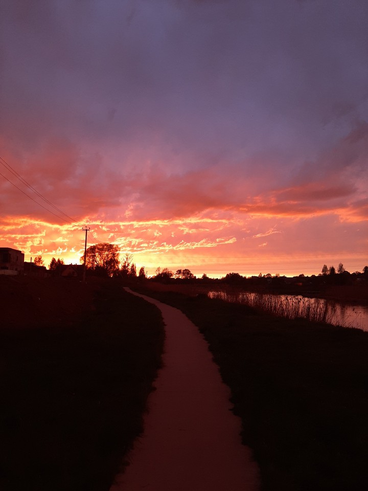 The way