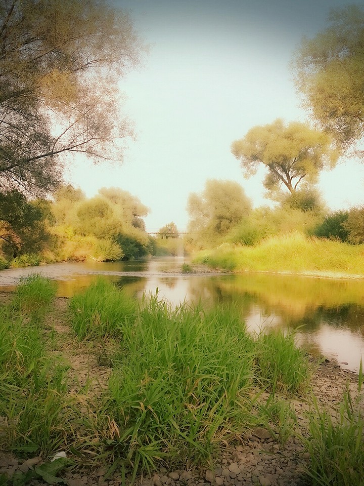 nature
