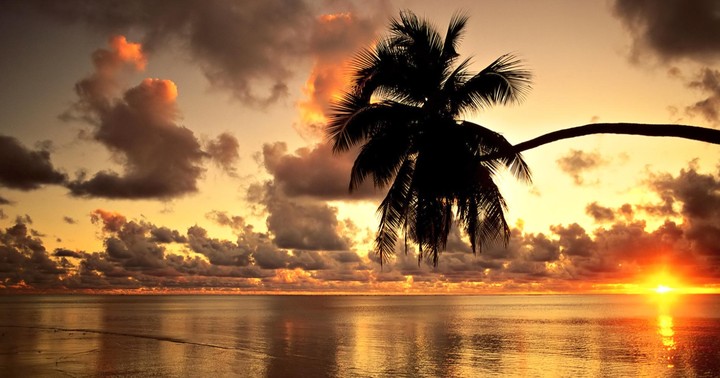 HD wallpaper