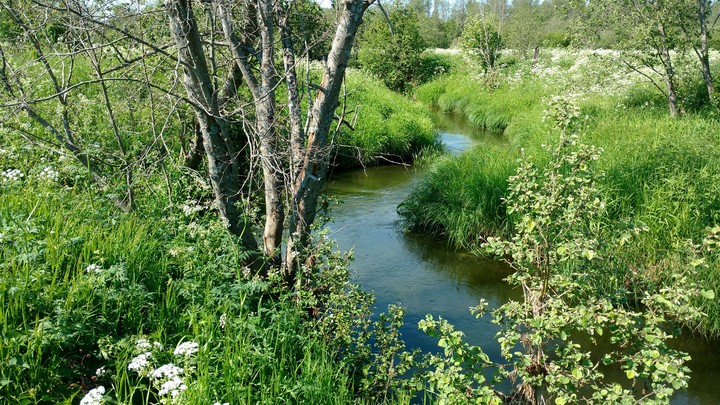 Река.