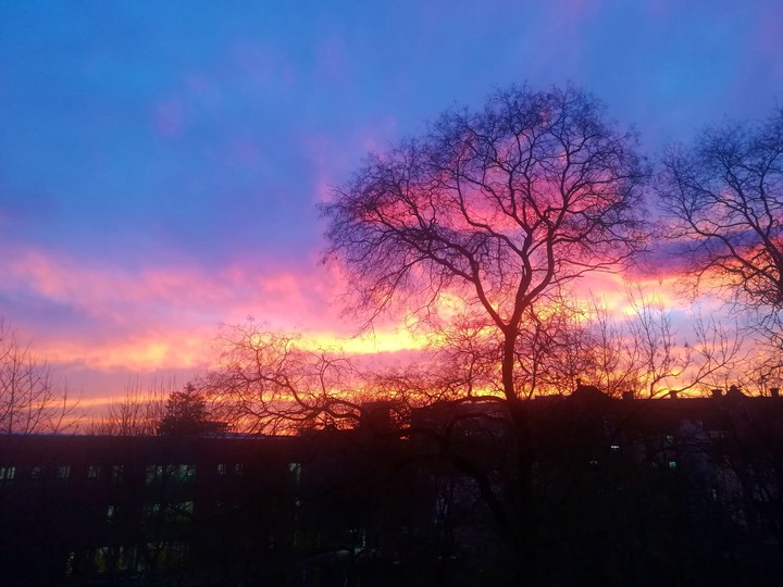 Sky