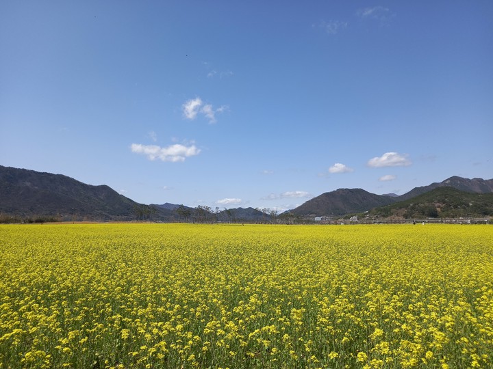 양산 황산공원