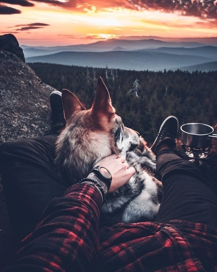 Nature Photography