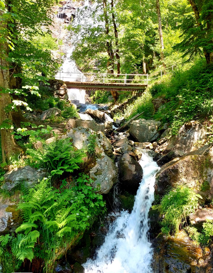 Bachlauf der Lahn