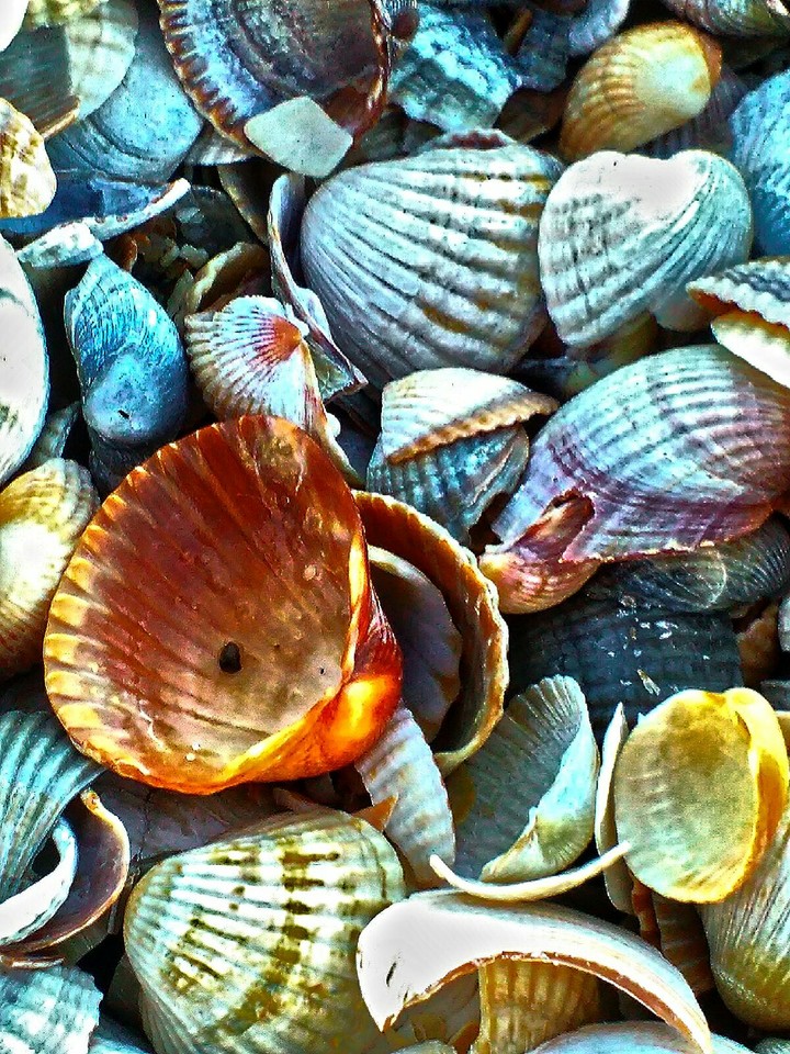Sea story