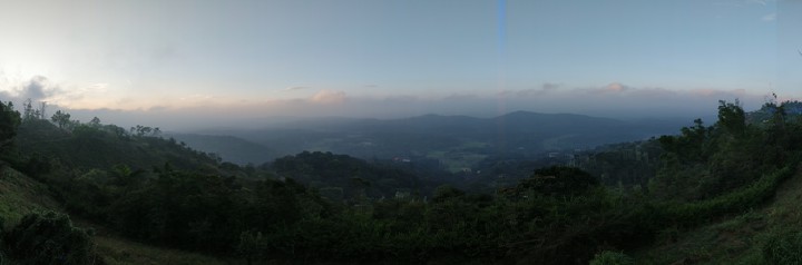 view