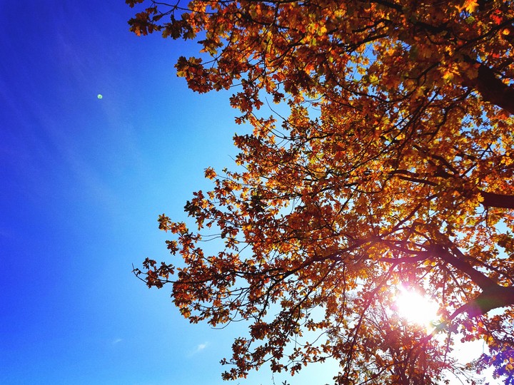 Autumn sun.