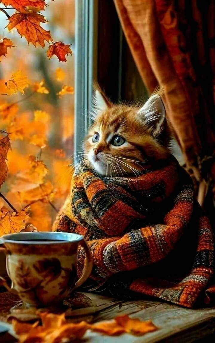 고양이, 식물 배경화면