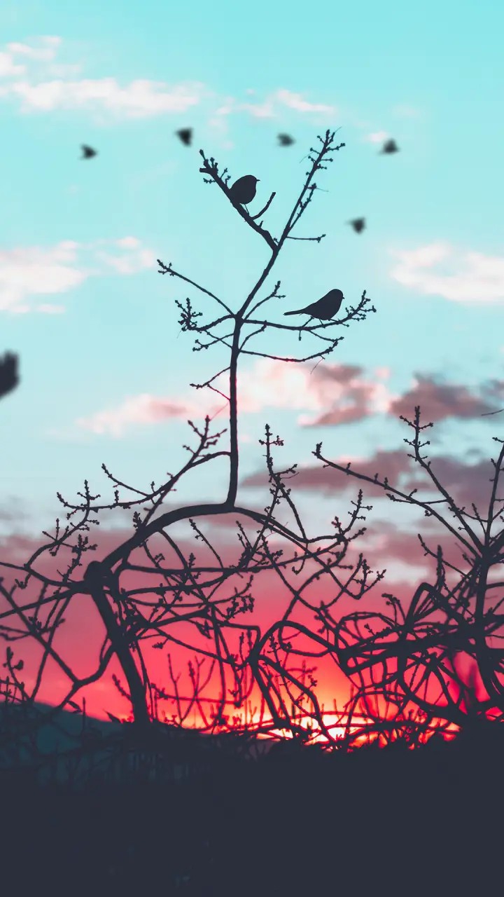 Sun set~