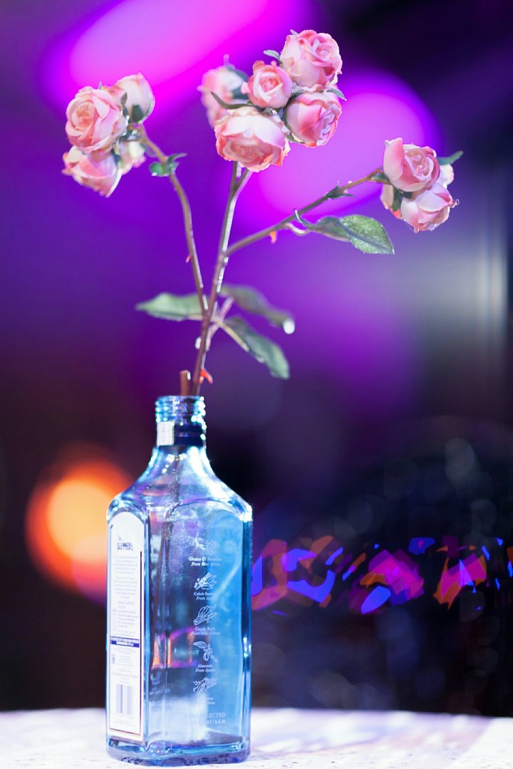 vase