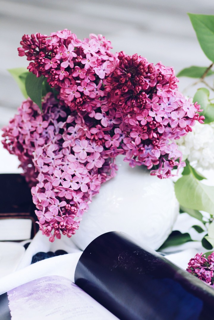Syringa