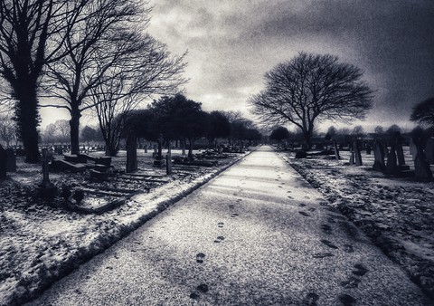 Walking Dead?