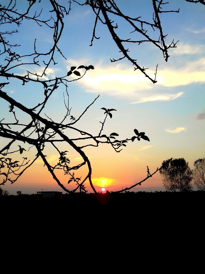 sunset
