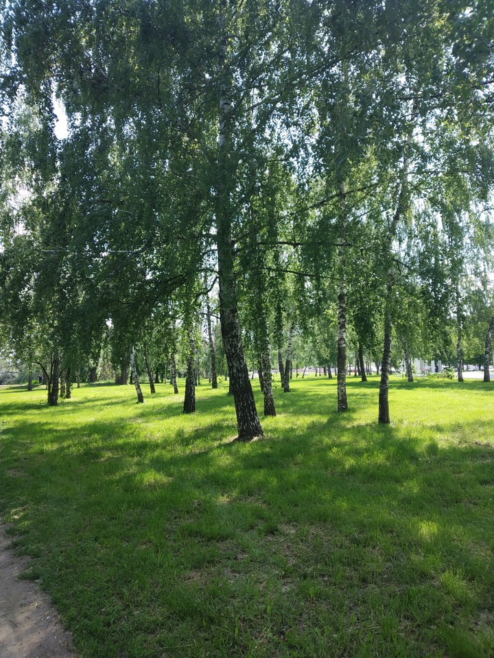 Природа весной