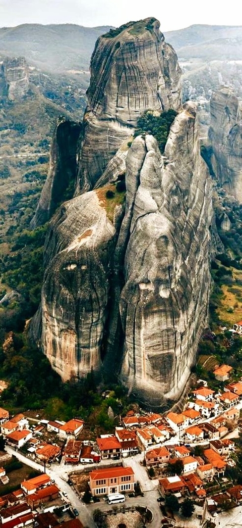 шпалери trunk, formation