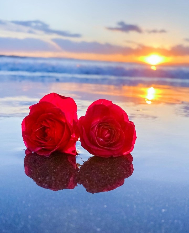 beauty...