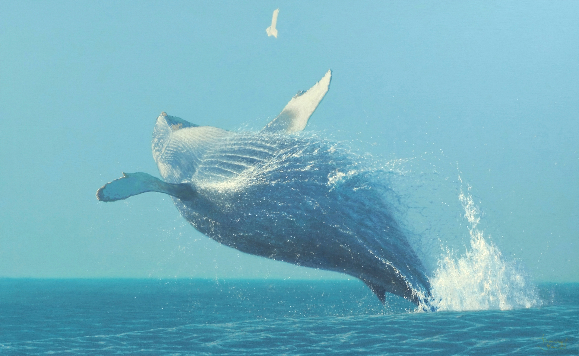 Jumping whale
