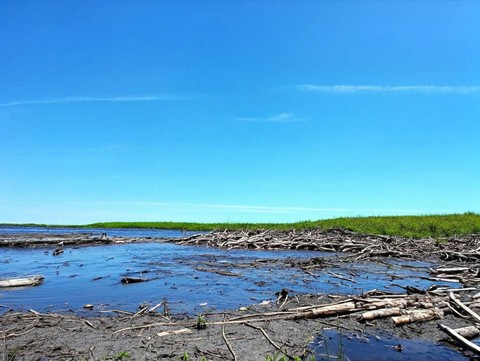 Beaver Dam