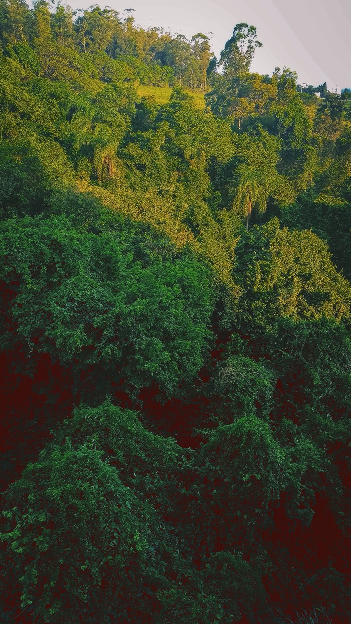 Out of the woods - part 3