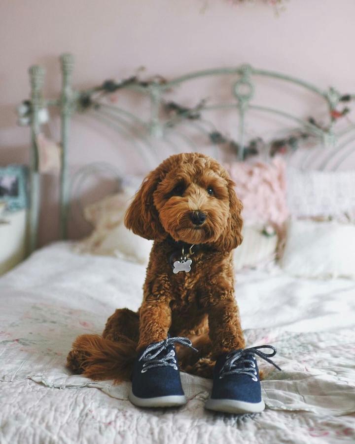 Cute❤