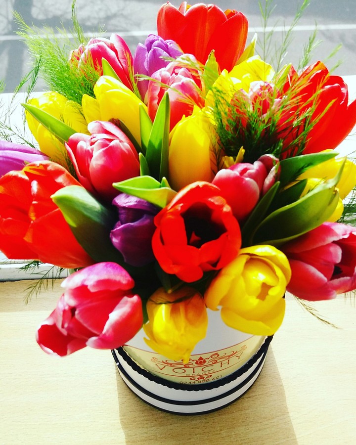 tulips