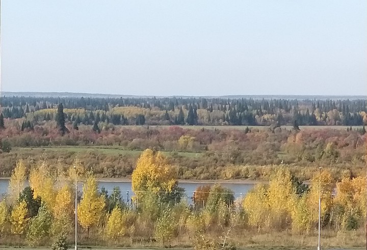 осень