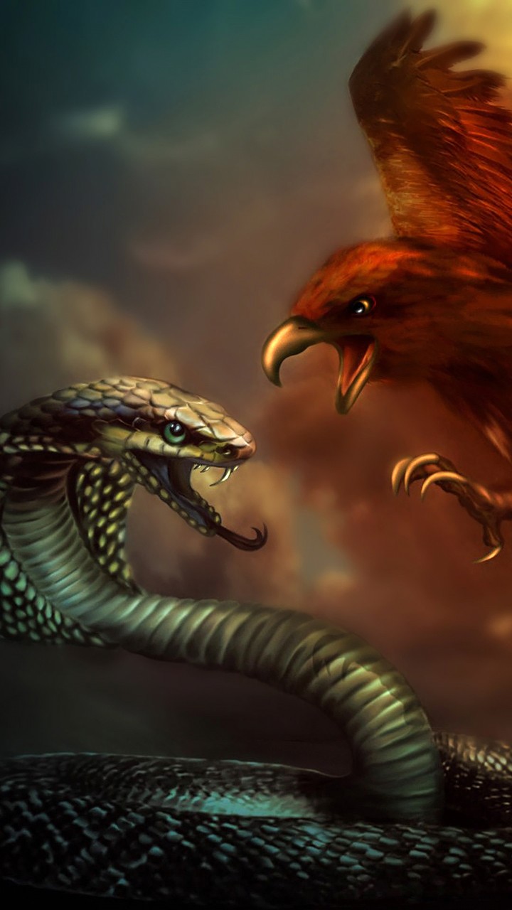 cool pic