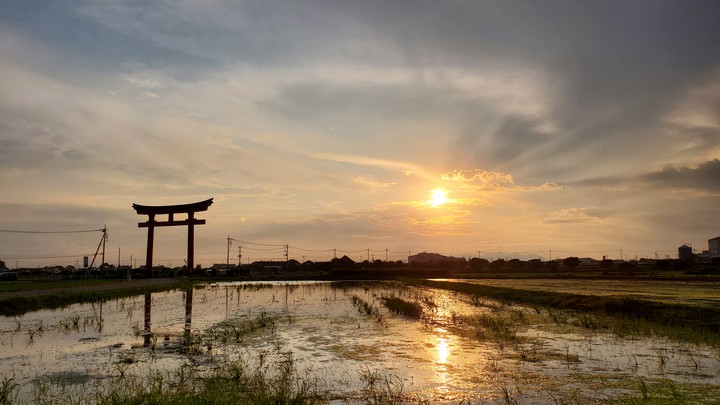 Sunset