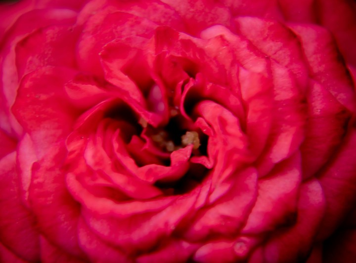 Inner Beauty