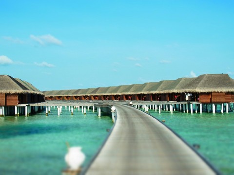 Maldives