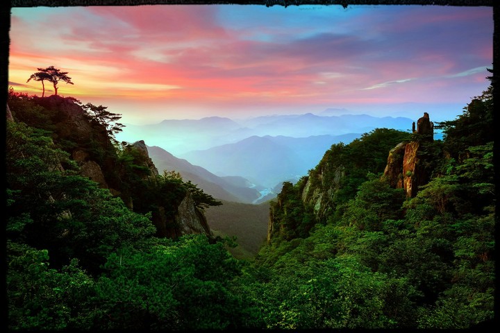 Natural Beautiful Picture