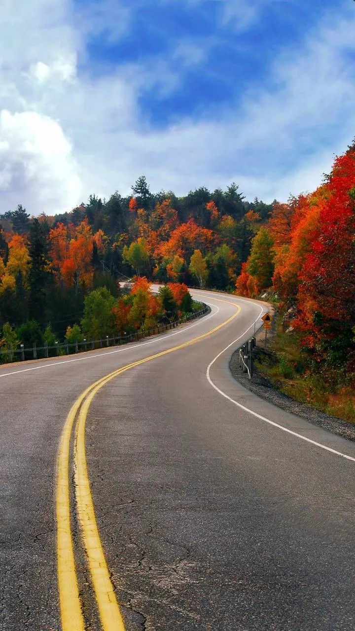 SILENT ROAD