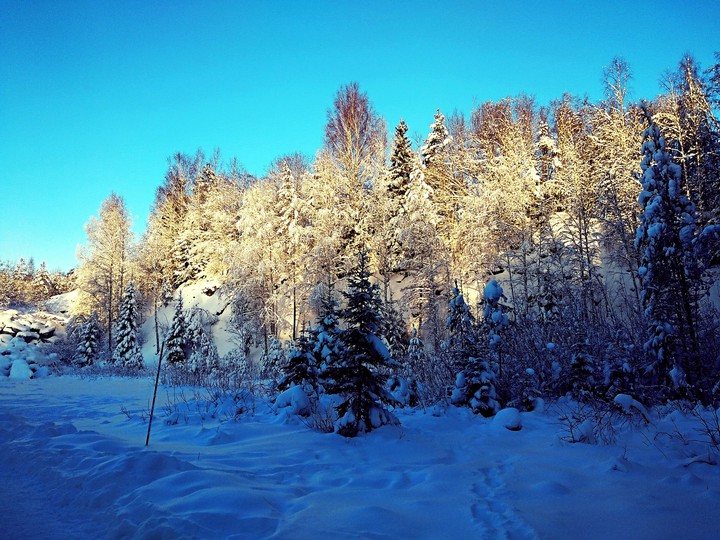 winter