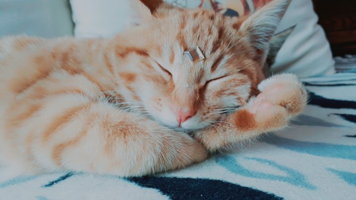 ZZzzz
