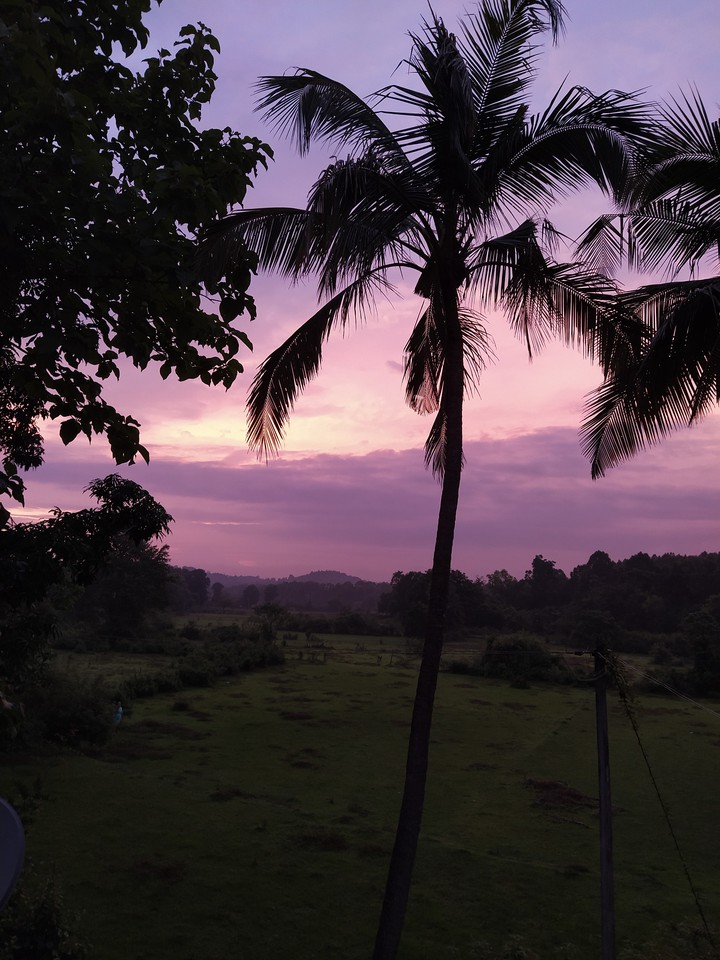 purple sky