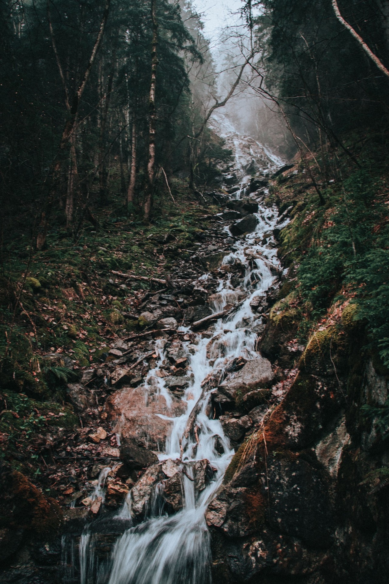Wilderness, watercourse duvar kağıtları