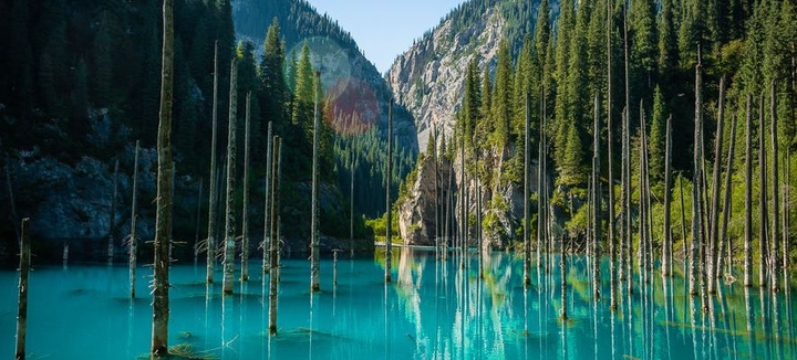 Kolsay lake wood
