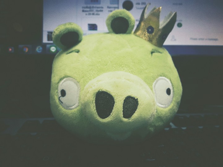Piggy