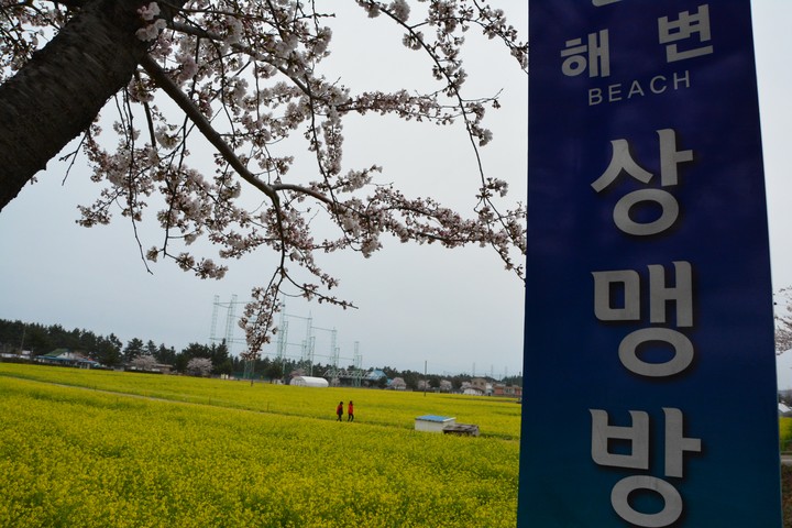 풍경이미지