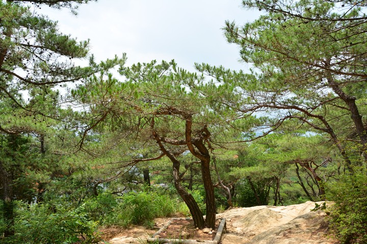용마산이미지