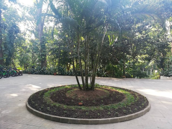 round