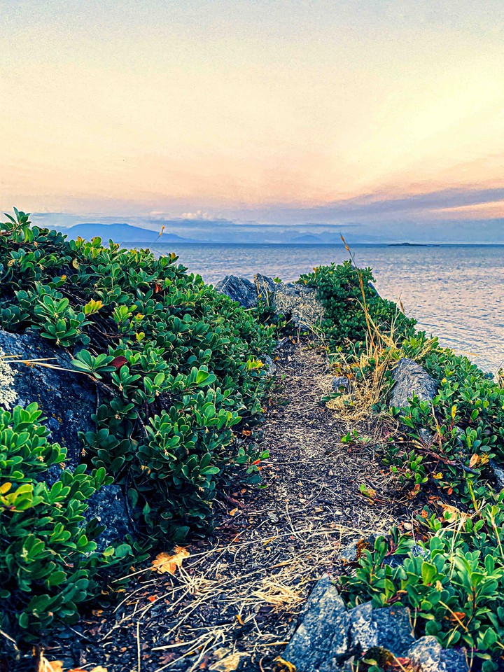 path to heaven