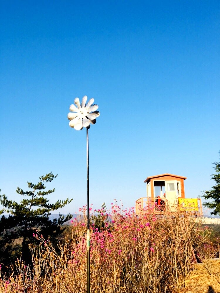 like flower