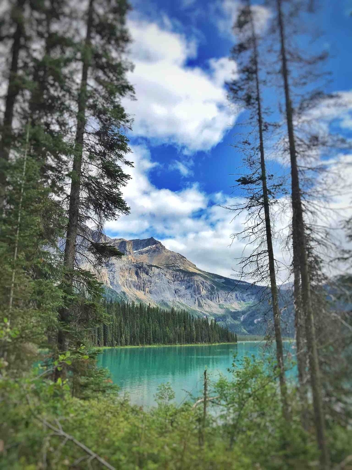 lake louis?-
